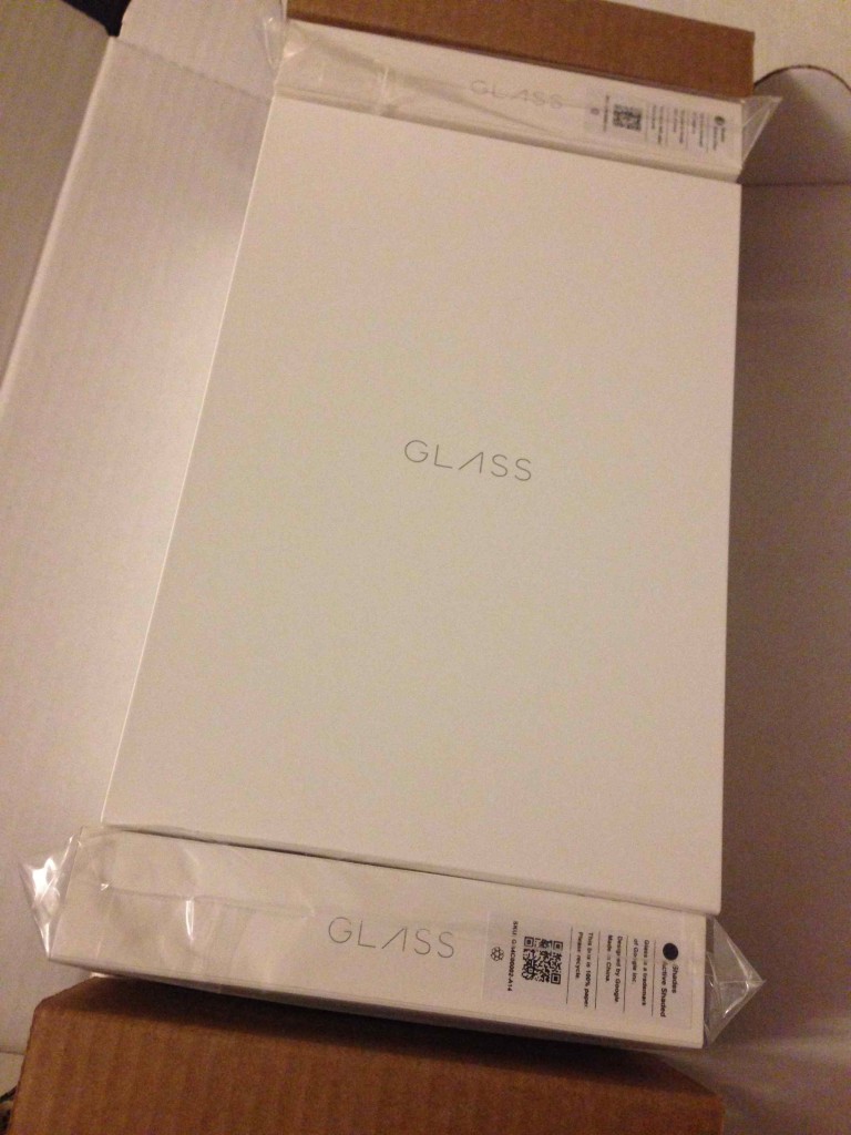 Google Glass