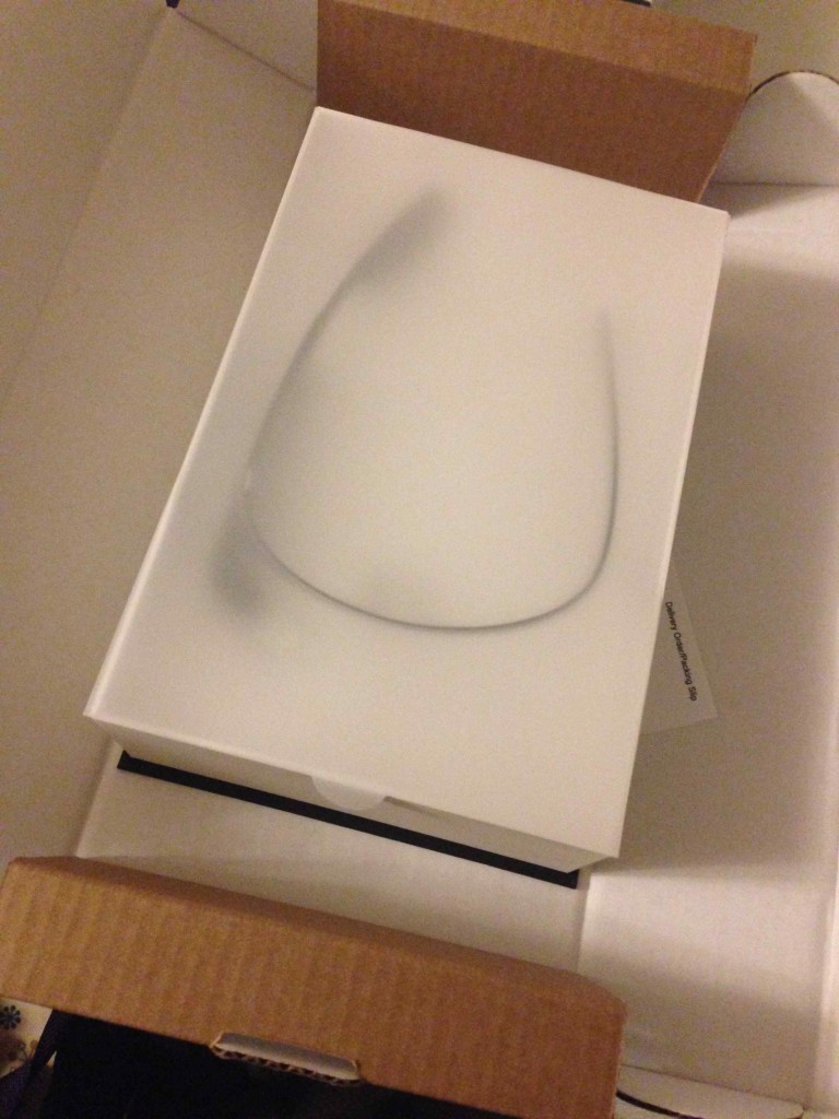 Google Glass Open Box